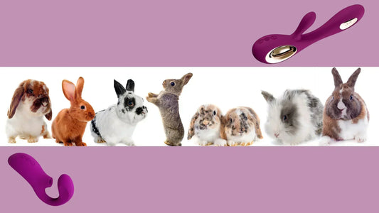 Comparatif vibromasseur rabbit