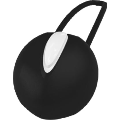 Boule de Geisha noire sphérique en silicone avec insert ovale gris et boucle de retrait